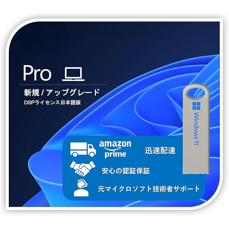 Amazon.co.jp: Windows11向け DSPライセンス 日本語版 (Windows 11 非