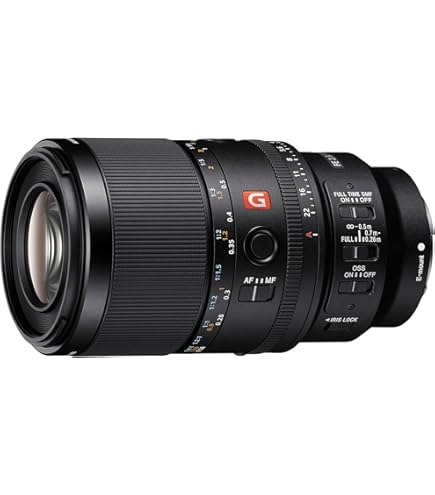 Amazon.co.jp: SONY(ソニー) 望遠単焦点レンズ フルサイズ FE 100mm F2
