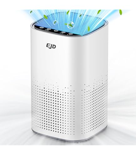 Amazon.co.jp: ReSPR（レスパー）ONE 〜30㎡(9坪)用 : ホーム＆キッチン