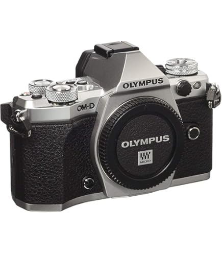 Amazon.co.jp: OLYMPUS ミラーレス一眼 OM-D E-M10 MarkIII EZダブル