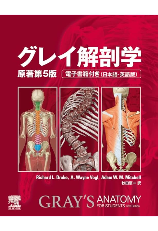 Amazon.co.jp: ネッター解剖学 フルセット版【電子書籍付】(原書第7版