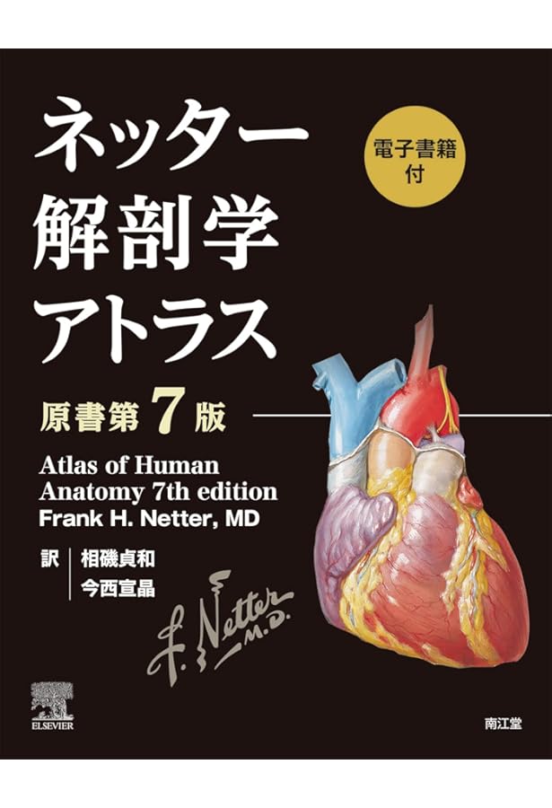 Amazon.co.jp: ネッター解剖学 フルセット版【電子書籍付】(原書第7版