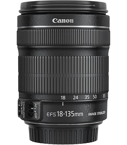 Amazon.co.jp: Tamron AF 18-250mm F/3.5-6.3 Di-II LD 非球面 (IF