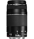 Amazon.co.jp: Canon 望遠ズームレンズ EF-M55-200mm F4.5-6.3 IS STM