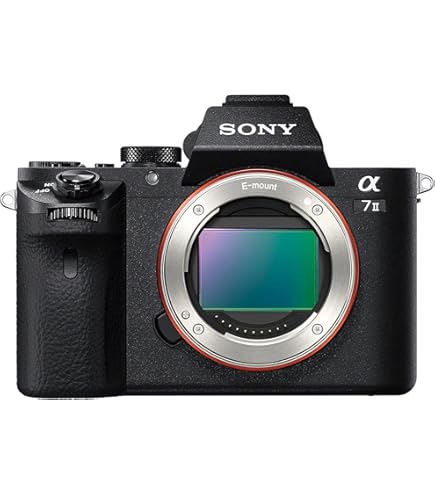 Amazon | SONY ミラーレス一眼カメラ α NEX-7 ボディ ブラック NEX-7