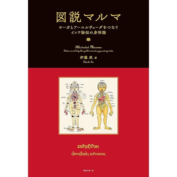 図説ヨーガ・スートラ (いんどいんどシリーズ) | 伊藤 武 |本 | 通販
