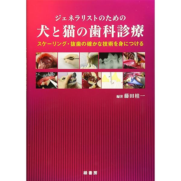 Amazon.co.jp: 眼科検査のてびき 眼からヨミトル : 都築 圭子: 本