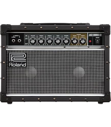 Amazon.co.jp: ROLAND CUBE-40XL : 楽器・音響機器