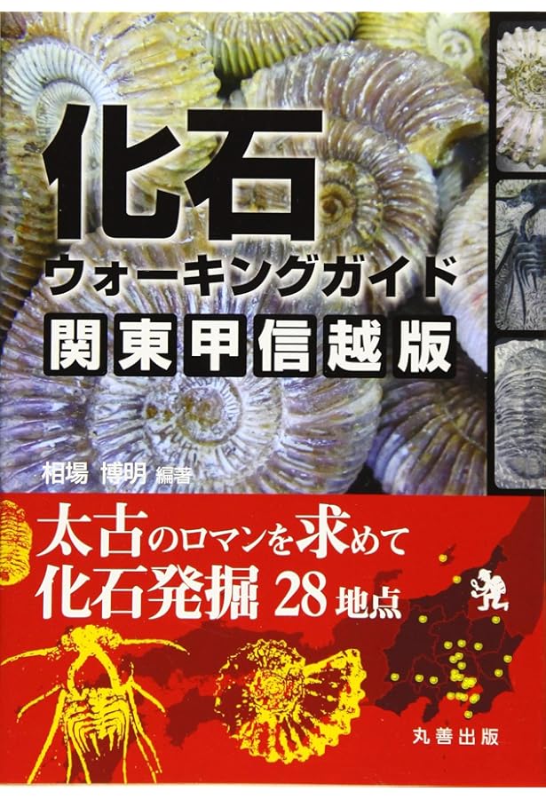 Amazon.co.jp: 鉱物ウォーキングガイド 関東甲信越版: 歩いて楽しい