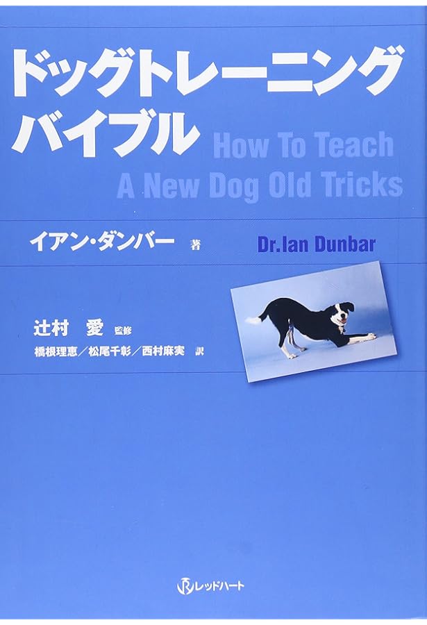 エクセレレ-ティッド・ラ-ニング: イヌの学習を加速させる理論