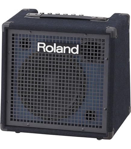 Amazon.co.jp: Roland kc-150 |コンパクト4チャネル65ワットミキシング