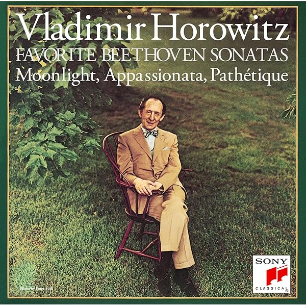 ホロヴィッツ 全録音をCDで聴く | 藤田 恵司 |本 | 通販 | Amazon