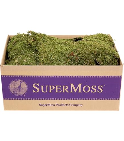Amazon.com : SuperMoss (25325) Forest Moss Preserved, Fresh Green