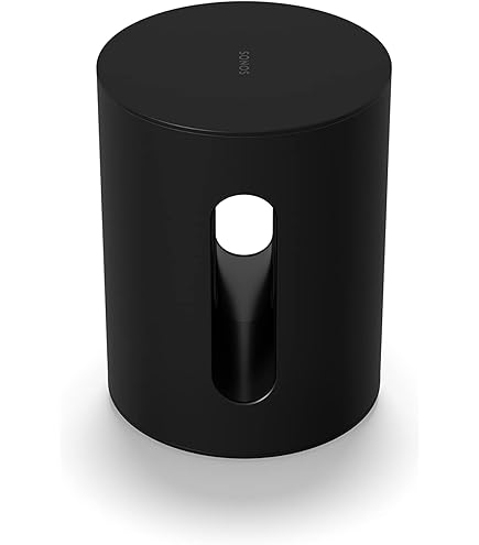 Amazon.com: Sonos Era 100 - Black - Wireless, Alexa Enabled Smart