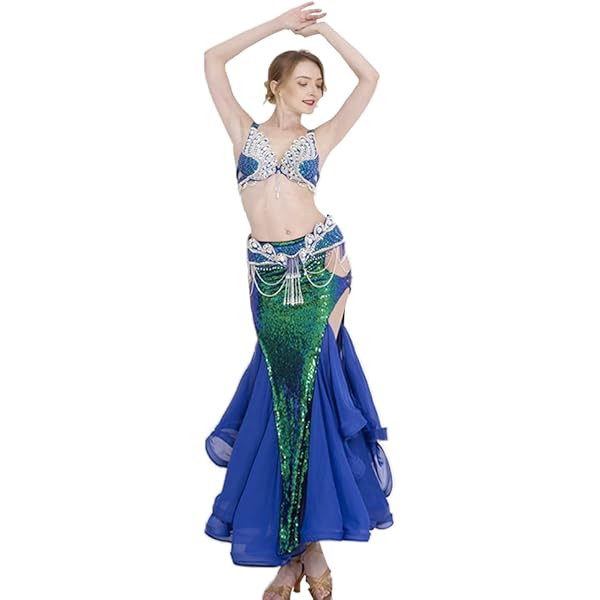 Amazon.com: Belly Dance Dress Belly Dance Costume Dancer Costumes