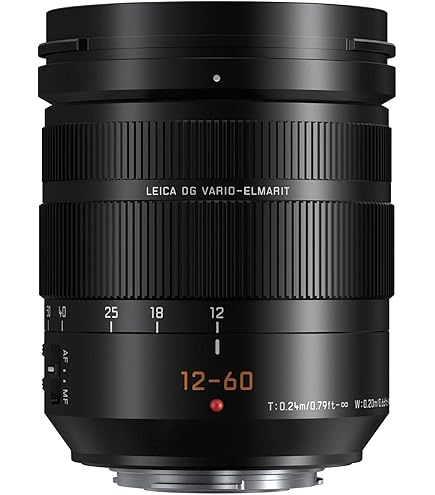 Amazon.com : PANASONIC LUMIX G LEICA DG VARIO-ELMARIT PROFESSIONAL