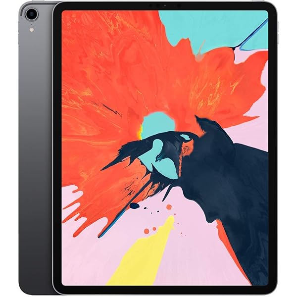 Amazon.com : 2020 Apple iPad Pro (12.9-inch, Wi-Fi + Cellular, 1TB