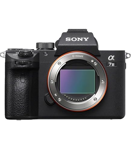 Amazon.com : Sony a7 Full-Frame Mirrorless Digital Camera - Body