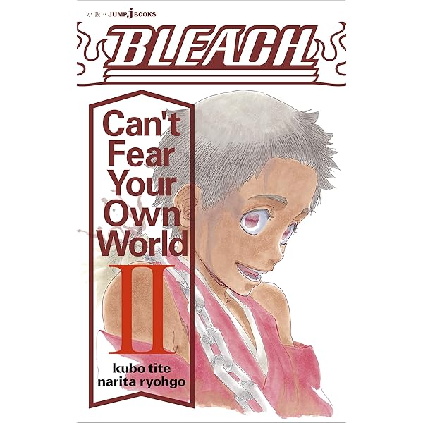 Amazon.com: BLEACH Can't Fear Your Own World 1 (JUMP j BOOKS