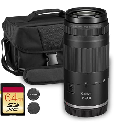Amazon.com : Canon EF 100-300mm f/4.5-5.6 USM Telephoto Zoom Lens