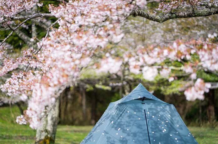 美しすぎるテント】一目惚れしてしまいました。知る人ぞ知る「Pre