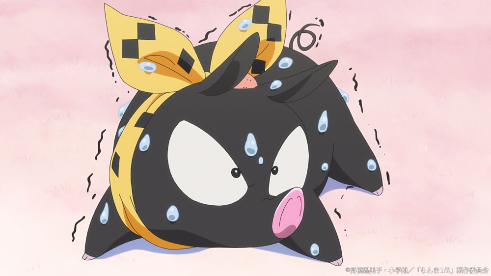 らんま1／2】第5話 ショートカットにしたあかねの部屋に黒ブタ出現