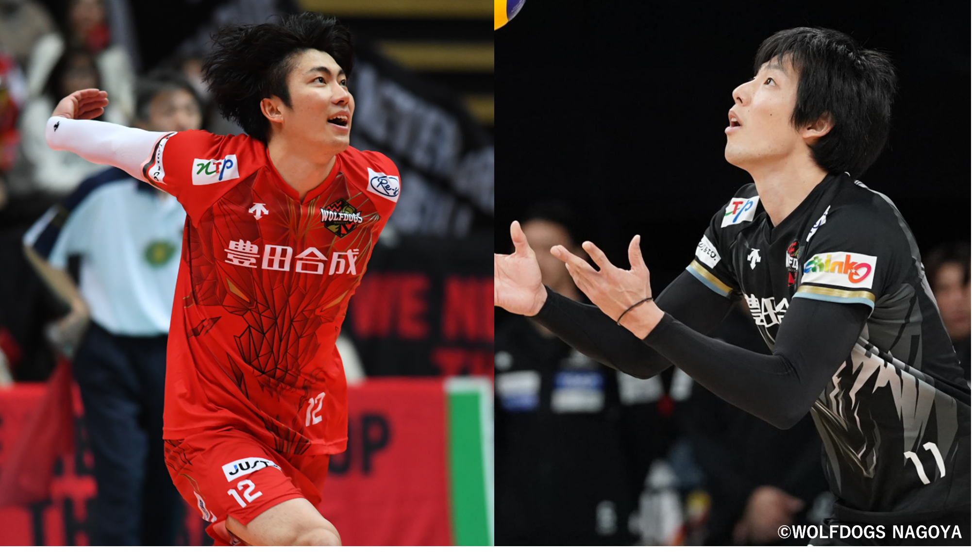 HATTRICK（ハットトリック）-選手の想いをファンへ届ける公式