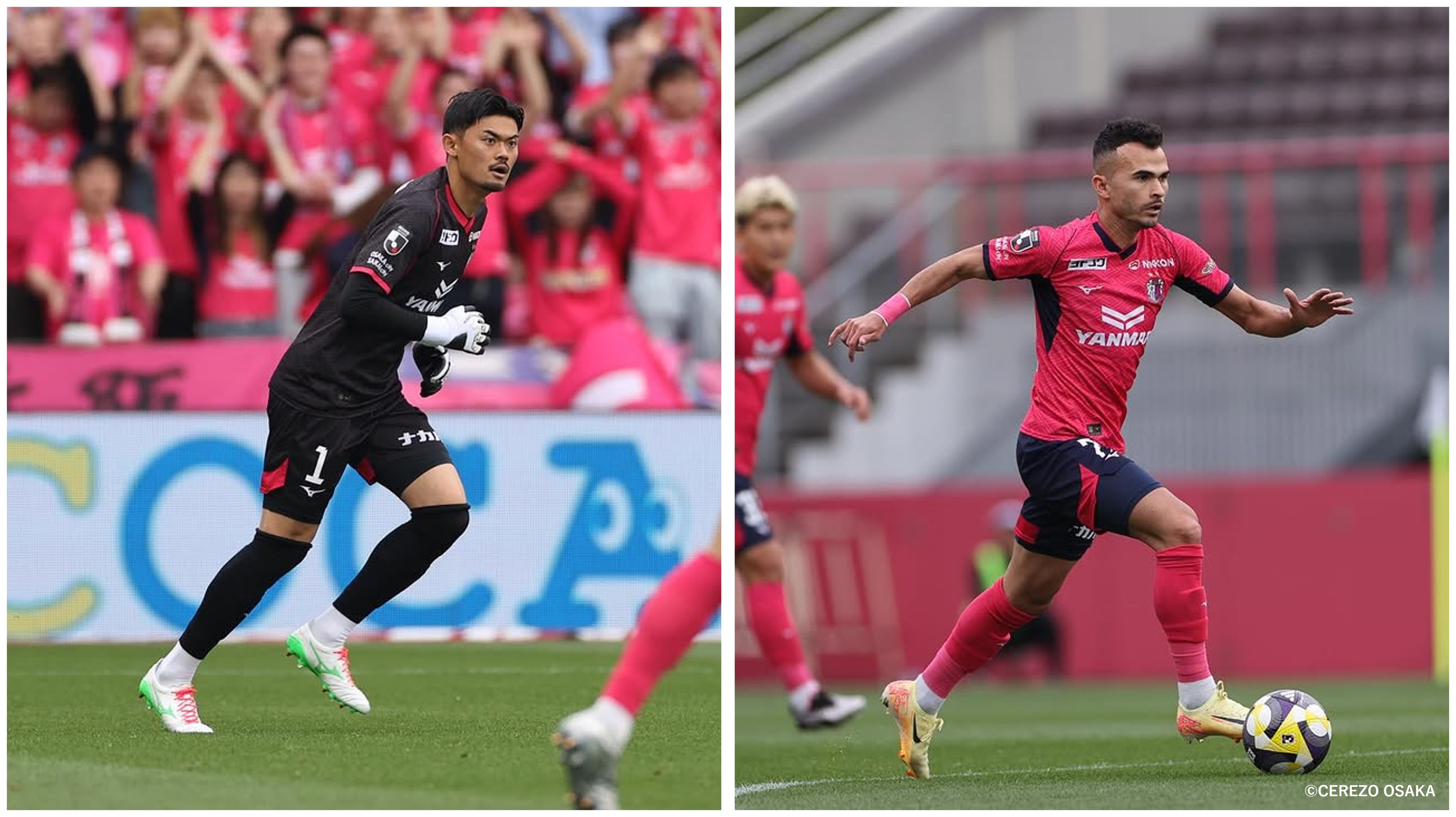 HATTRICK（ハットトリック）-選手の想いをファンへ届ける公式