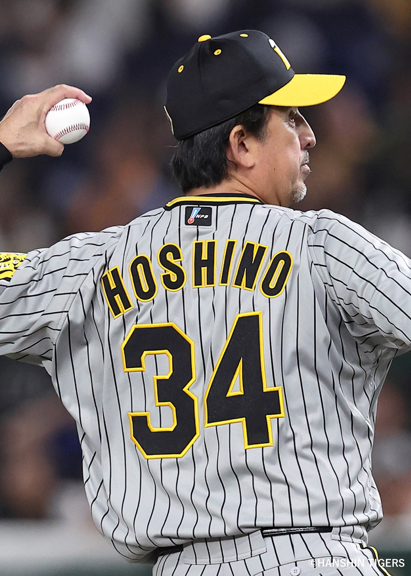 HATTRICK（ハットトリック）-選手の想いをファンへ届ける公式