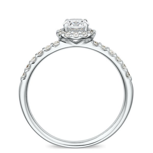 PT950 リース ダイヤモンド エタニティタイプ ヘイロー リング 0.3ct