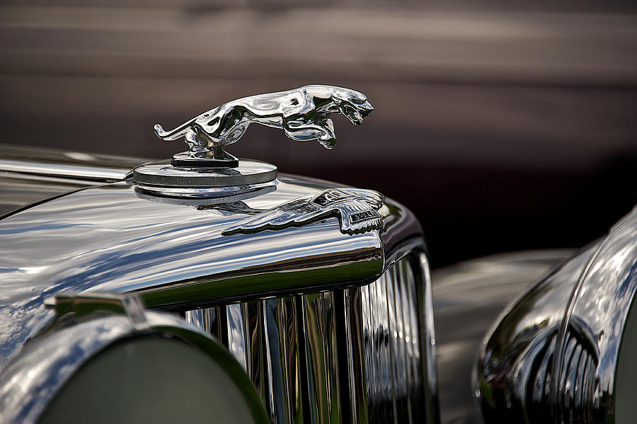 Jaguar Hood Ornament 1 by Dave Koontz