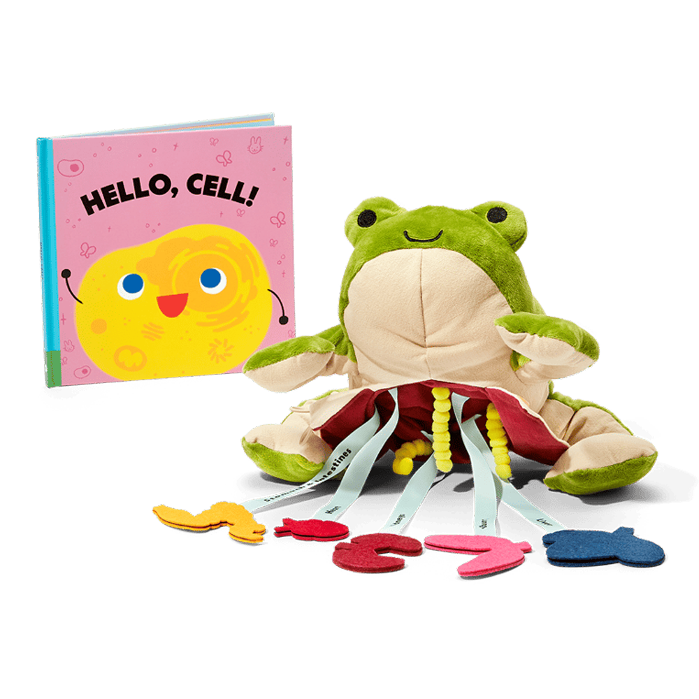 Froggie Dissection Lab Book Bundle | KiwiCo