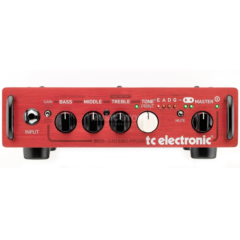 TC Electronic BH250 | MUSIC STORE professional