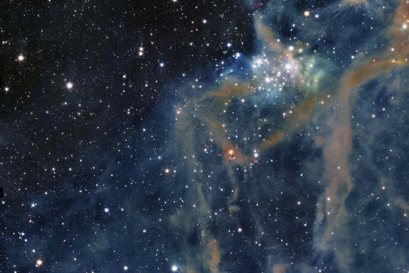 SEI_273829953.jpg?crop=1:1,