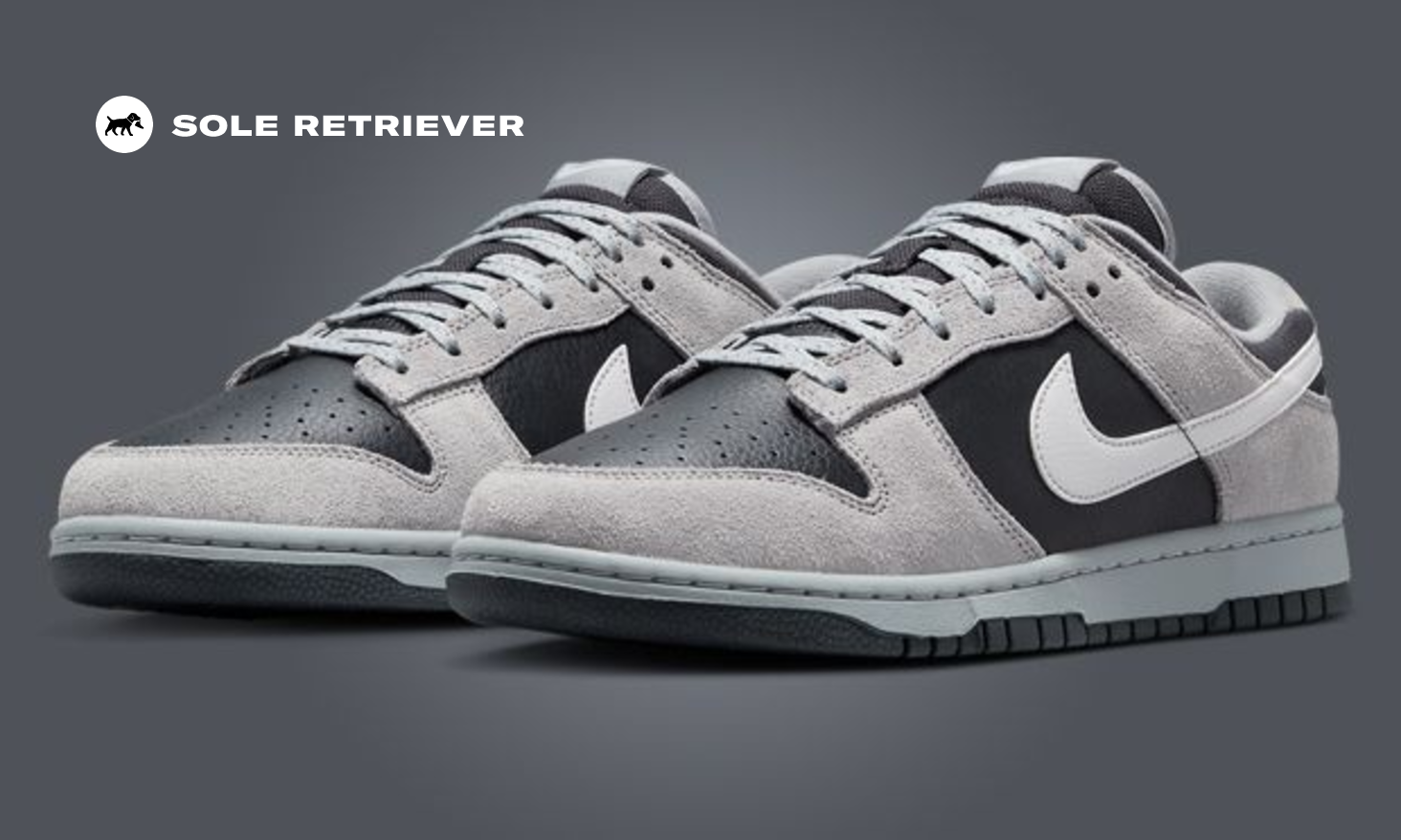 The Nike Dunk Low Light Smoke Grey Anthracite Releases Holiday 2024