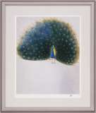 杉山寧「孔雀」リトグラフ :: 絵画買取・販売 - シバヤマ