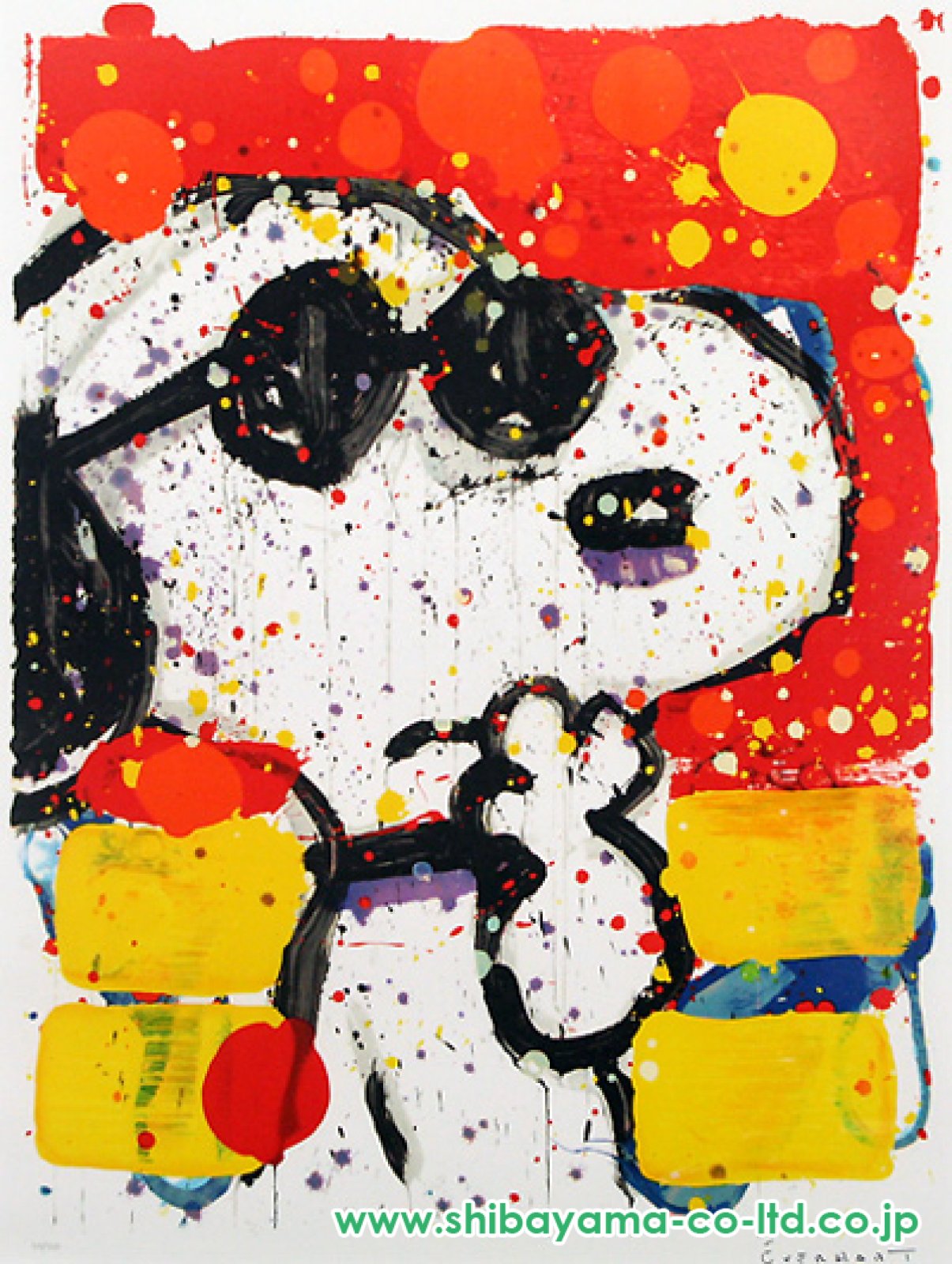 aaa】トムエバハート ジグソーパズル スヌーピー ドッグブレス