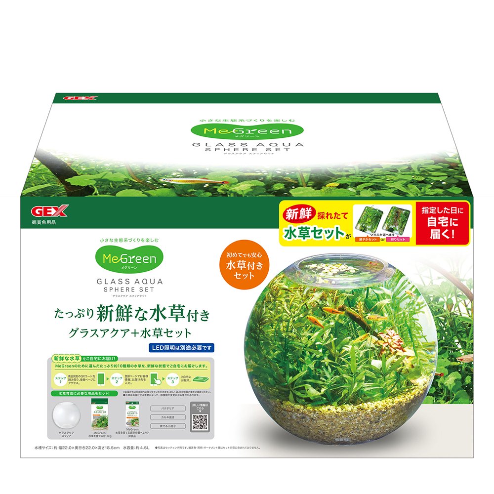 GEX 水槽セット MeGreen 新鮮な水草付き グラスアクアスフィアセット