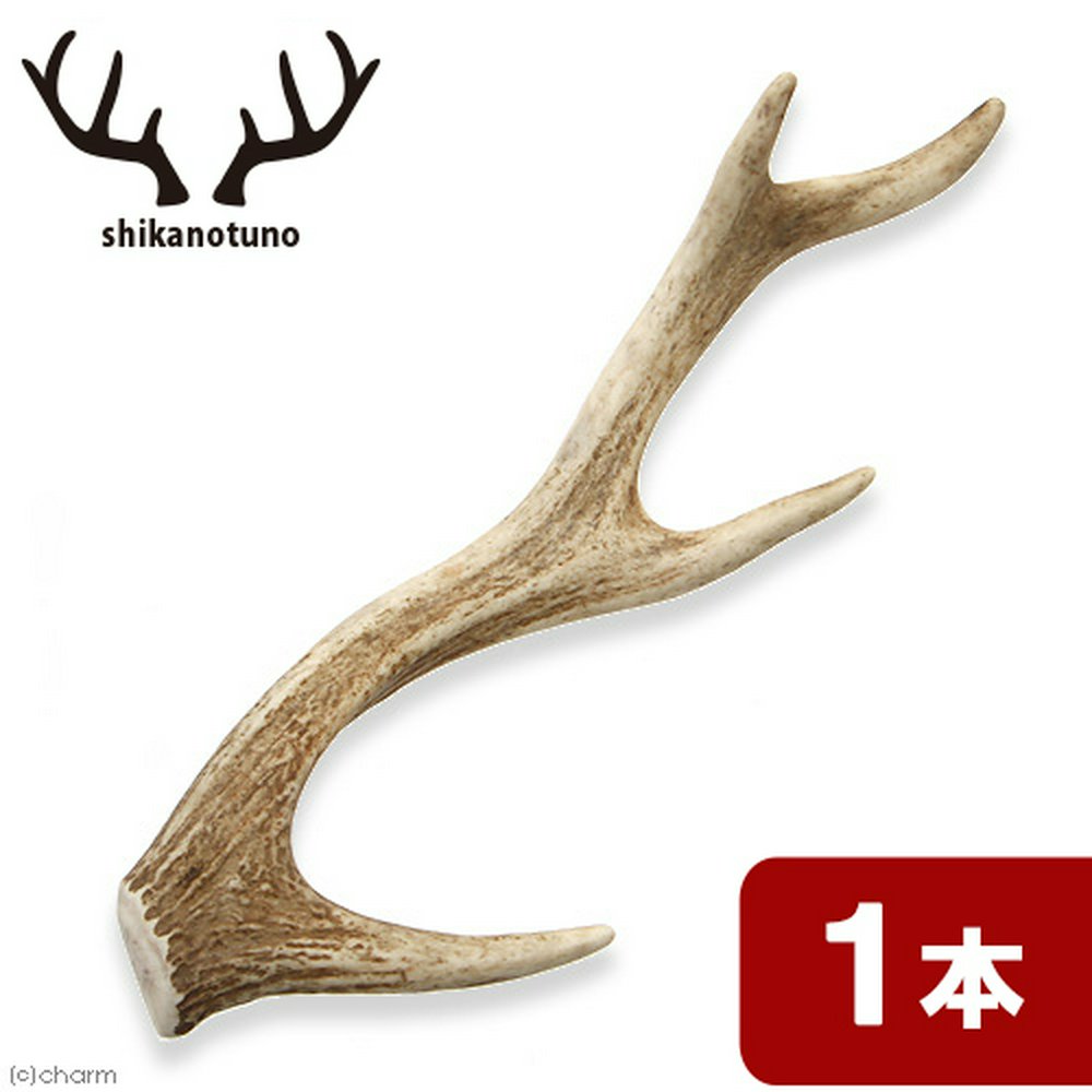 犬用おもちゃ 鹿の角 ノーカット 1本 (長さ25~45cm前後) 犬 おもちゃ