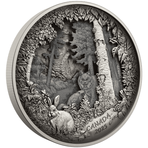 2025 Predator or Prey in Shadow Box Silver Coin | Royal Canadian