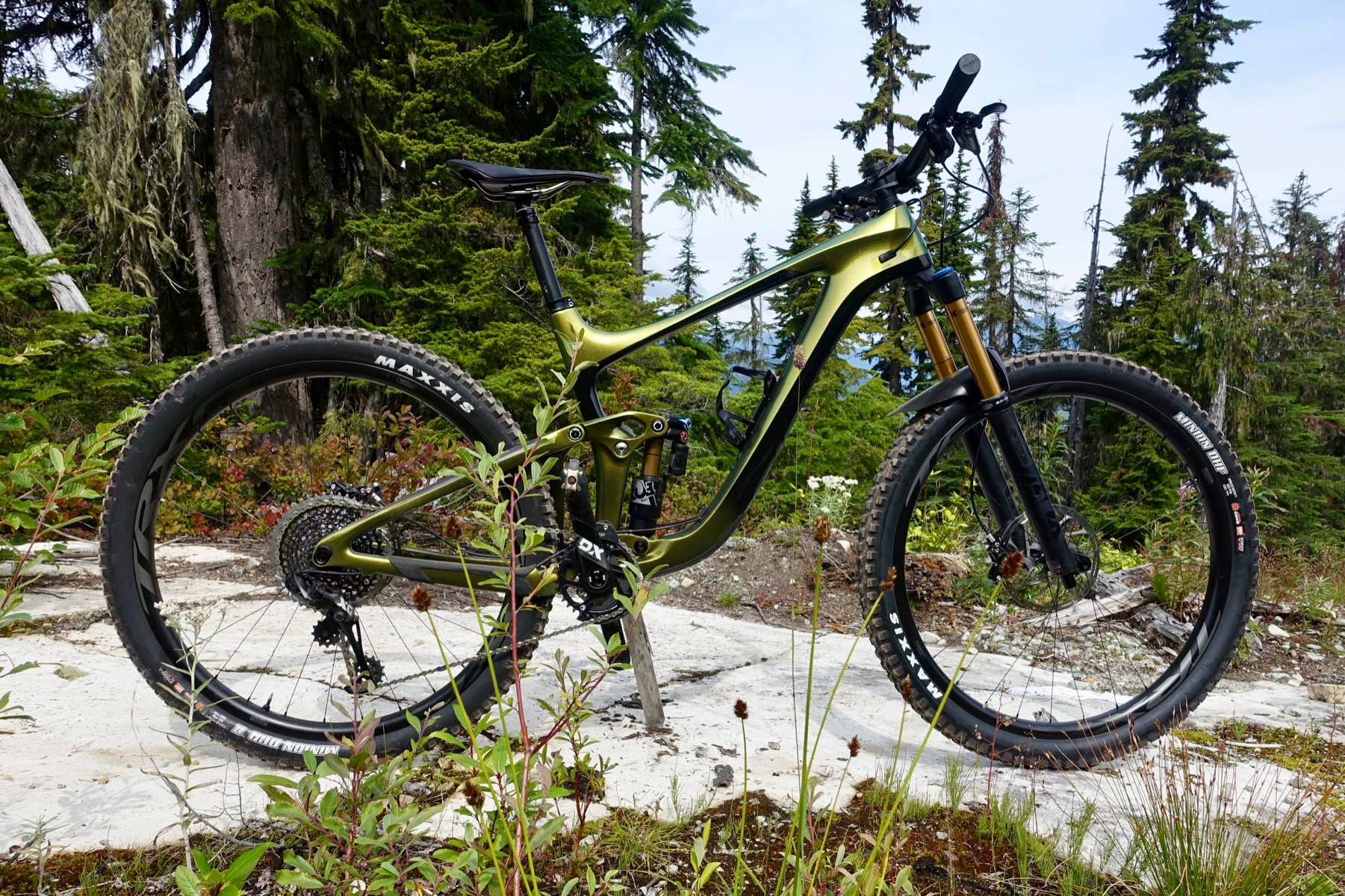 2020 Giant Reign 29er: A Whistler Test Ride Review - Singletracks