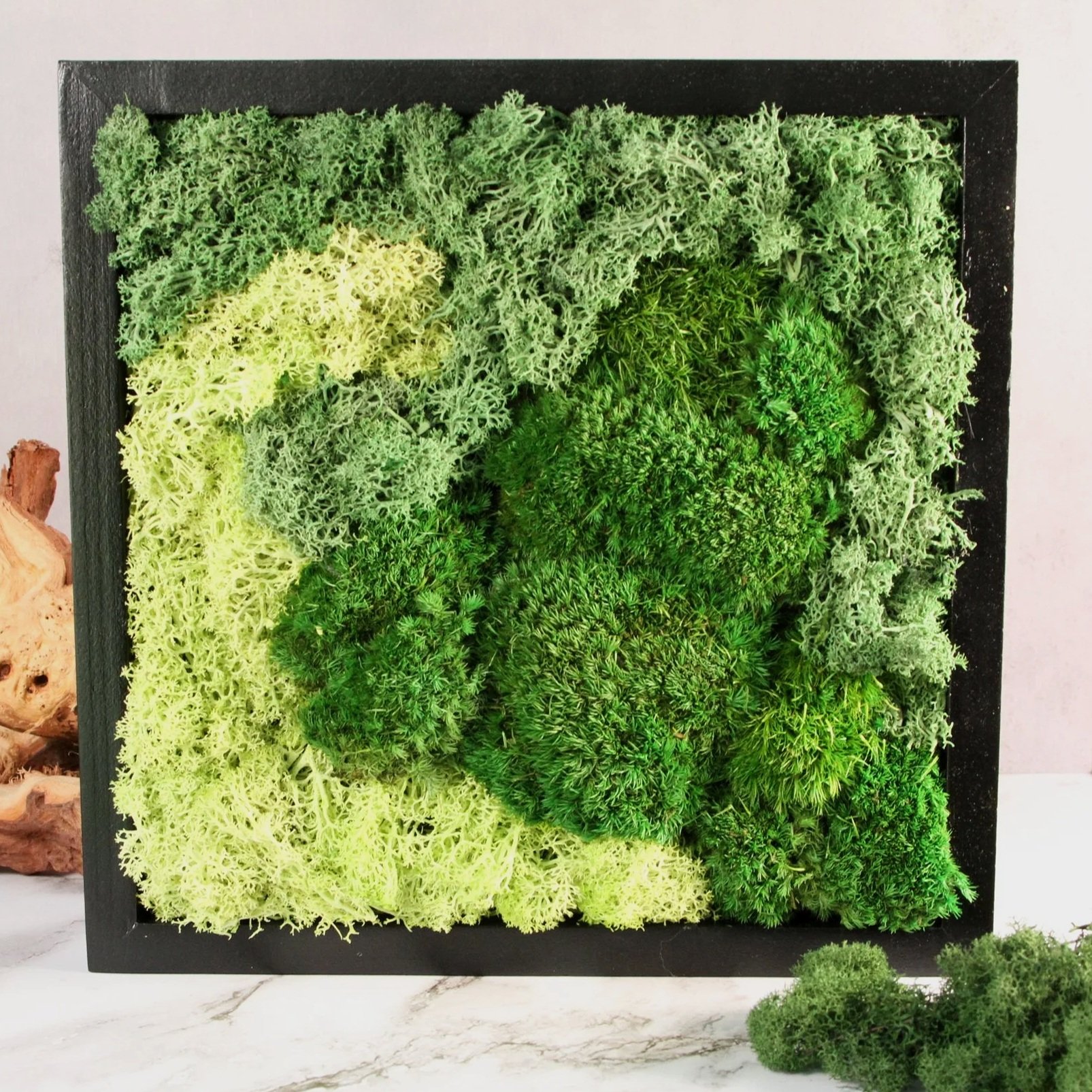 Handcrafted Moss Wall Art | Zero Maintenance Nature Decor