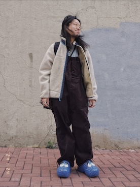 patagoniaのマウンテンパーカー（ベージュ系）を使った人気