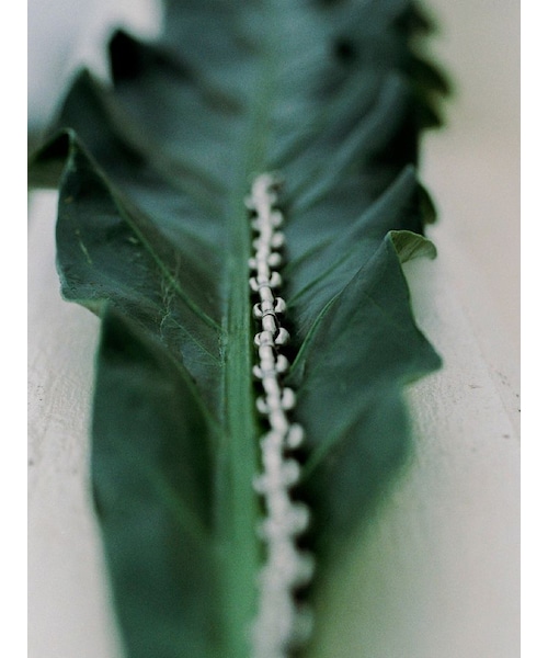 Llife（ライフ）の「Llife ANNEAUX NECKLACE（ネックレス）」 - WEAR