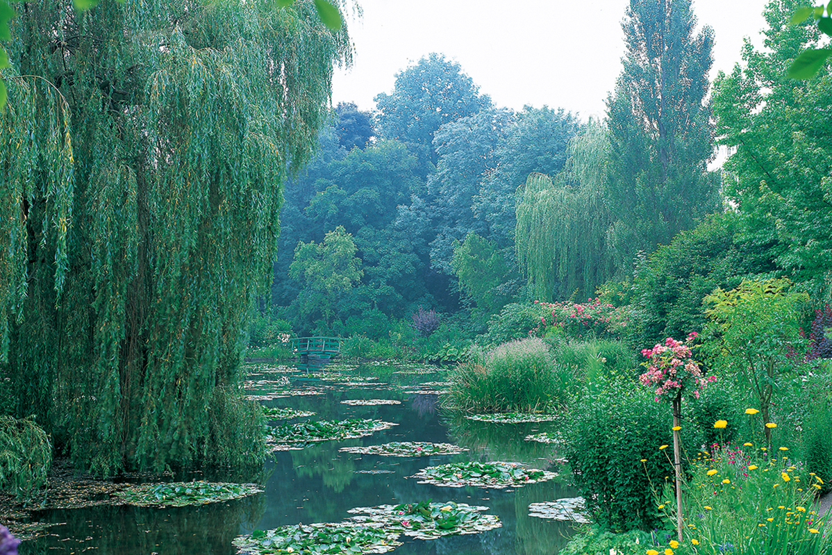 短期集中連載 第3回］モネとジヴェルニー 庭こそ彼の傑作だった | 家庭