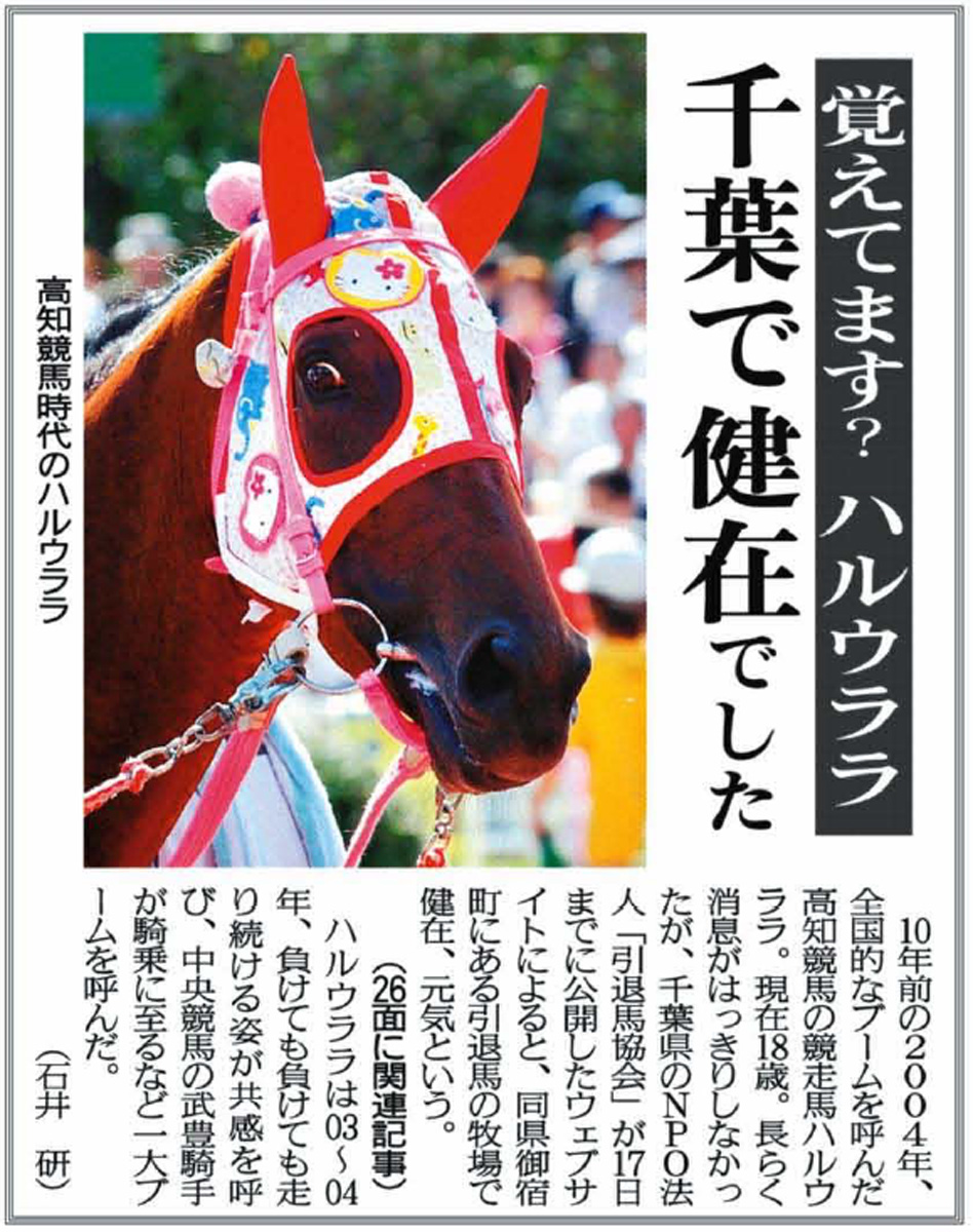 特集】さようならハルウララ！高知競馬でつくった伝説 高知新聞紙面と