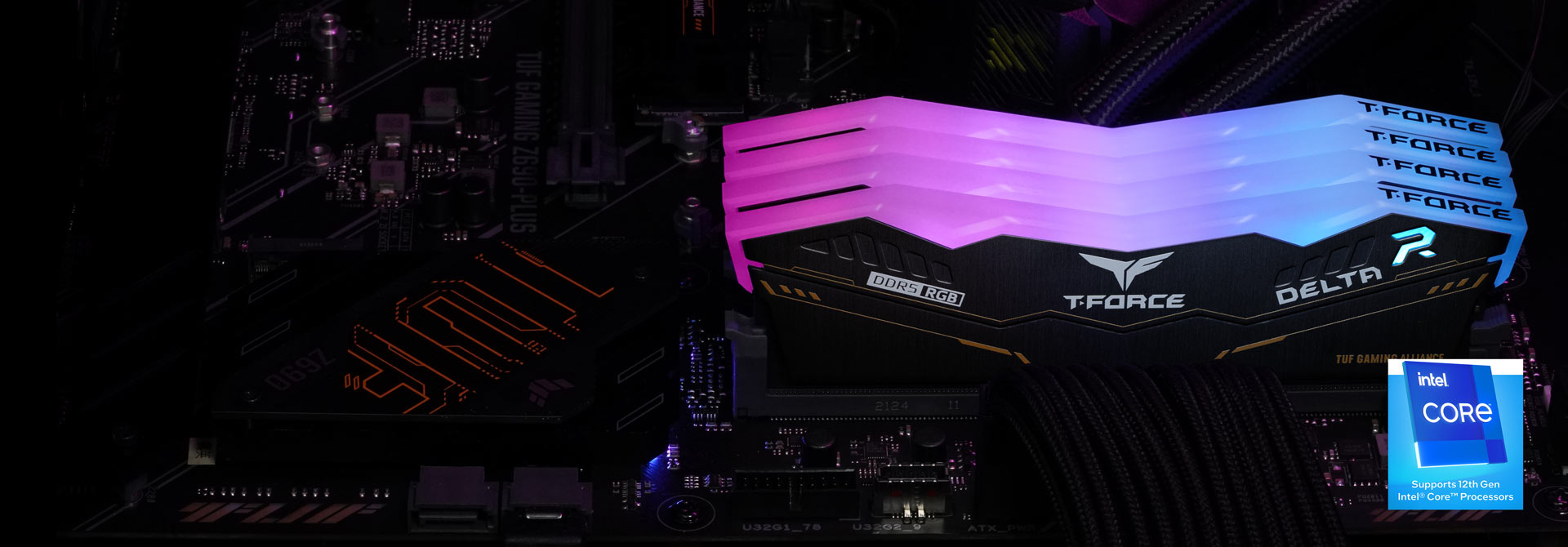 DELTA TUF Gaming Alliance RGB DDR5 DESKTOP MEMORY 64GB(2x32GB