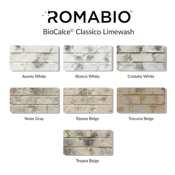 ROMABIO 0.67 Gal. Cristallo White Limewash Interior/Exterior Paint