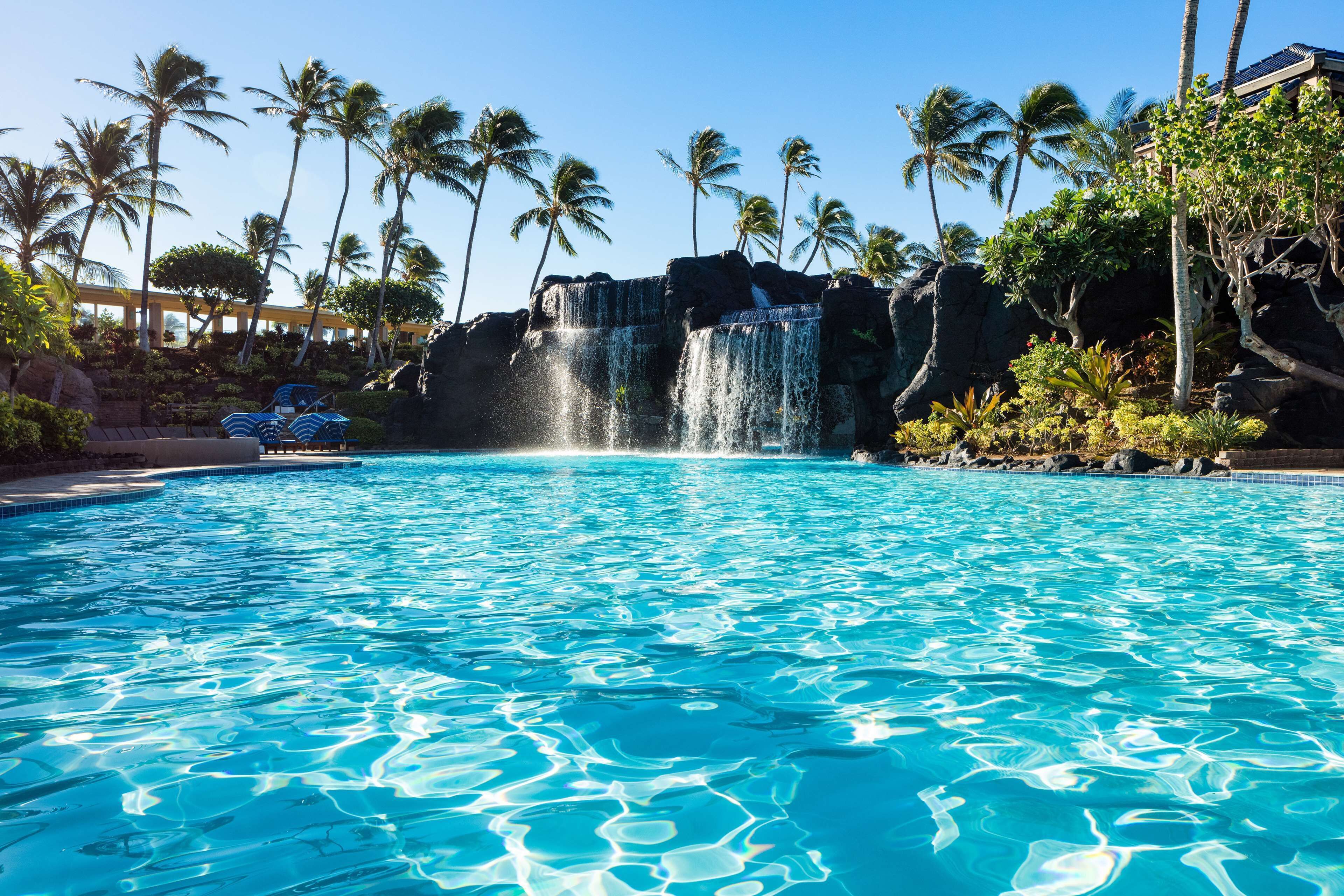 Hilton Grand Vacations Club Ocean Tower Waikoloa Village Reviews