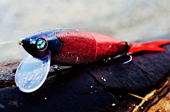 ネコソギ DSRの使い方とは？冬のデカバスを狙える理由とおすすめ